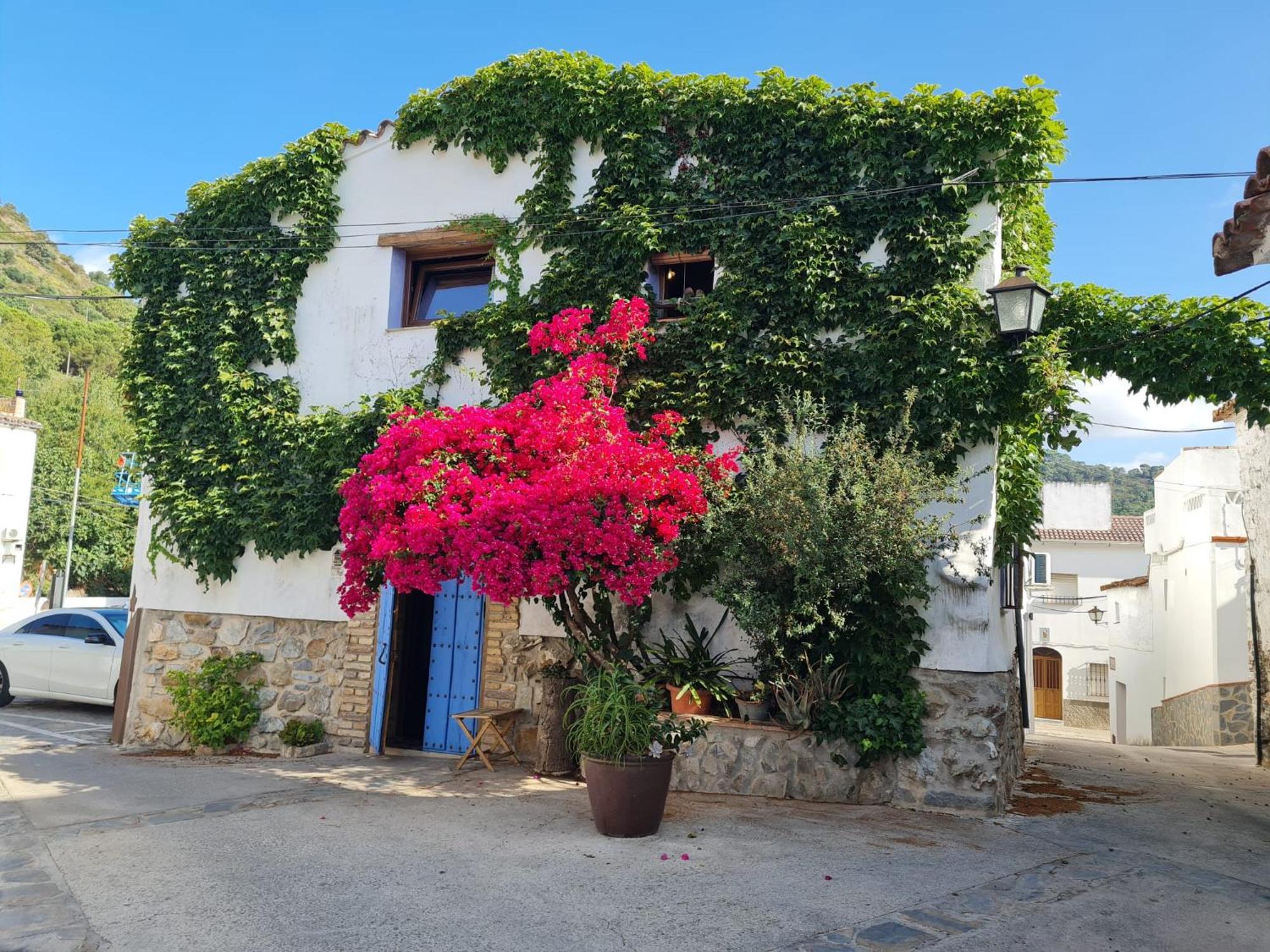Casa La Yedra By Casaturistica Benarrabá Exterior foto